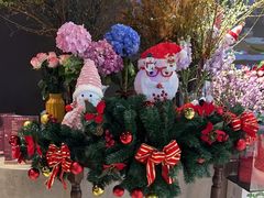 -狮拾久·现代新加坡料理(福田COCO Park店)