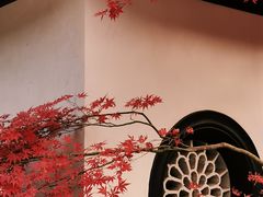 -虎跑公园