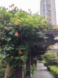 -青岛妇女儿童医院(辽阳西路院区)