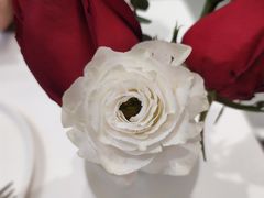 -CHEZ JASMINE 茉莉的氧气厨房