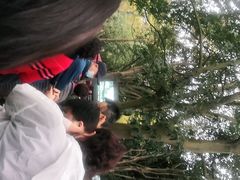 -韶山毛泽东同志故居