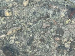 -三亚西岛海洋文化旅游区