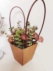 -美肤盾祛痘·问题肌头疗管理中心