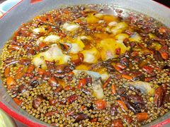 -雲蜀龙阁·金牌水煮鱼(方庄店)