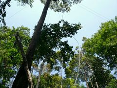 android_upload_pic-清迈丛林飞跃 JungleFlight