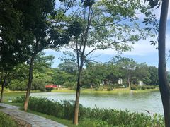 -东莞植物园