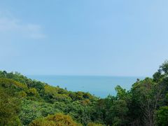 -广东惠东海龟国家级自然保护区