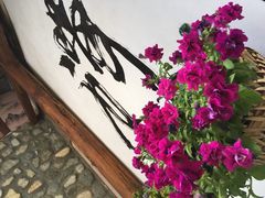 -寂照庵