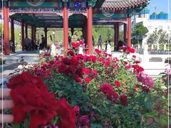 -西海子公园