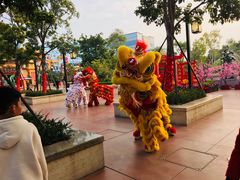 -厦门方特梦幻王国