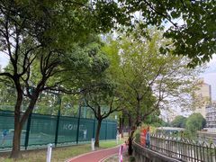 -江湾体育中心游泳馆