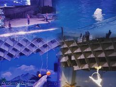 -海合安武汉极地海洋公园