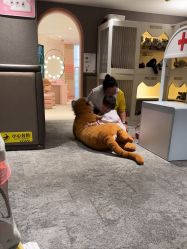 -奈尔宝·儿童乐园·亲子餐厅(华采天地店)