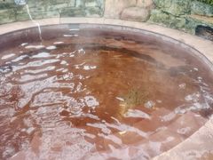 -剑河仰阿莎温泉小镇