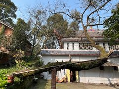 -涂山寺素食餐厅