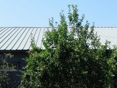 -美联众合动物医院·内科·皮肤科·外科(古城分院)