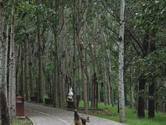 -北京麋鹿生态实验中心