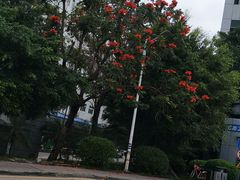 -观澜湖旅游度假区