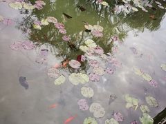 -成飞公园