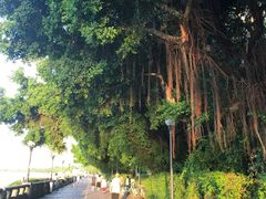 -珠江夜游广州塔·中大码头