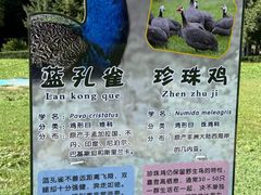 -哈尔滨北方森林动物园