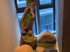 -炊江南·上海菜(国展华漕店)