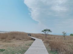 -野鸭湖国家湿地公园