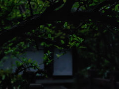 -三苏祠