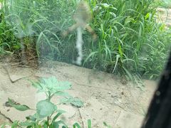 -沈阳森林动物园