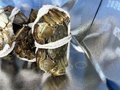 -阳澄湖大闸蟹·琼灵阁牌品牌连锁(吴中总店)