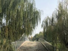 -九里河湿地公园