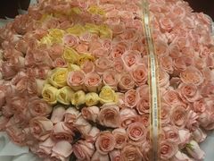 -深圳星河丽思卡尔顿酒店