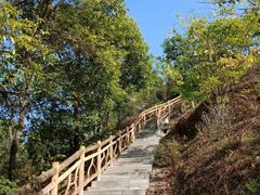 -聚龙山公园