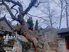 -青岛崂山太清宫