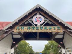 -上海海湾国家森林公园