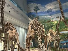 -自贡恐龙博物馆