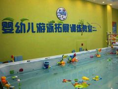 -小小王国亲子游泳俱乐部(锦辉中心)