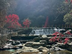 -少华山国家森林公园