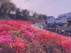 -老门东历史文化街区