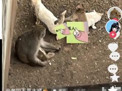 -昆明动物园