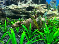 -太平洋海底世界