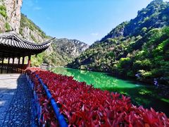 -天台山琼台仙谷景区