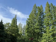 -桃花岛公园