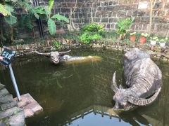 -燊海井