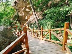 -大岭沟猕猴桃谷风景区