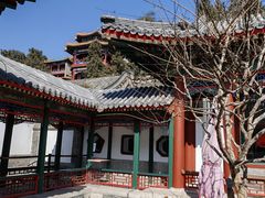 -宫事颐庭·老佛爷贵寿下午茶(颐和园店)