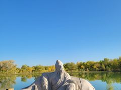 -金塔沙漠胡杨林景区