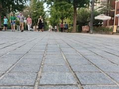 -天正河鲀·河豚亭(大连店)