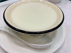 沙湾姜撞奶-鹅城