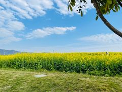 -光明小镇欢乐田园